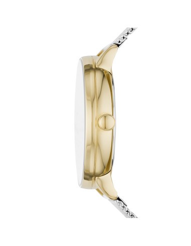 Reloj Skagen mujer RIIS SKW2912 - JOYA Y RELOJ - Imagen 2